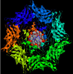 Nanopore project wins $1.1 million NIH grant