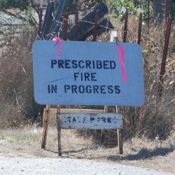 Prescribed Burns at Wilder Ranch