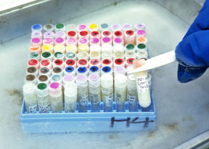 Genome 10K Project announces first 101 species for genome sequencing