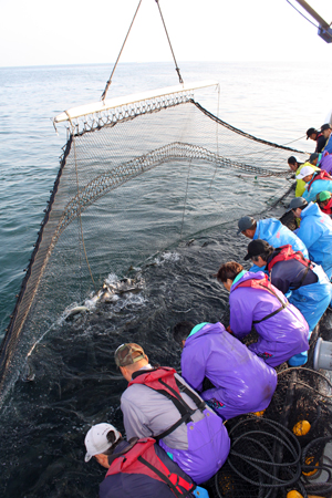 Sustainability fellowships support student research