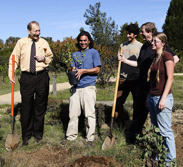 Arboretum propagates cuttings from the last wild S.F. manzanita