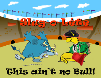 Bullfighting droids face off in UCSC student robotics competition