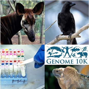 Genome scientists gather in Santa Cruz for back-to-back meetings