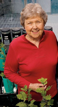New endowment supports teaching and research at the Arboretum