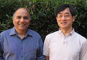 Physicists report progress in understanding high-temperature superconductors
