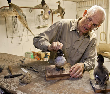 UCSC’s Museum of Natural History holds open house and fundraiser