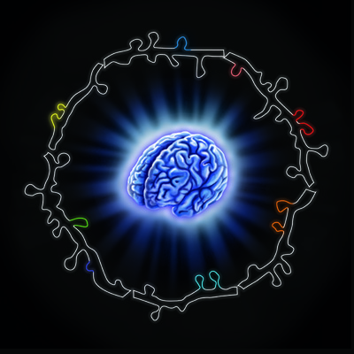 New brain connections form in clusters during learning