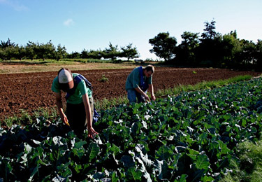 Sign-ups now open for Community Supported Agriculture (CSA) program