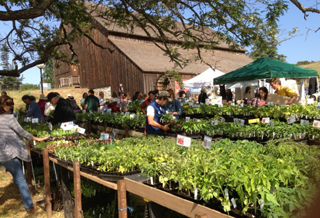 UCSC Farm & Garden’s 35th annual Spring Plant Sale set for May 2, 3