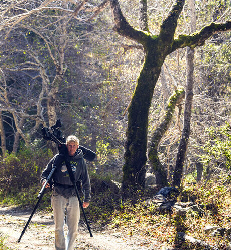 Alum’s feature film heralds wildlife and landscape of Big Sur’s wild coast