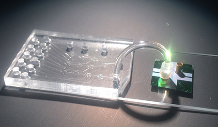 Chip-based technology enables reliable direct detection of Ebola virus