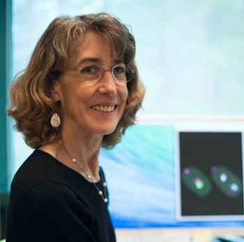 Biologist Susan Strome receives Outstanding Faculty Award