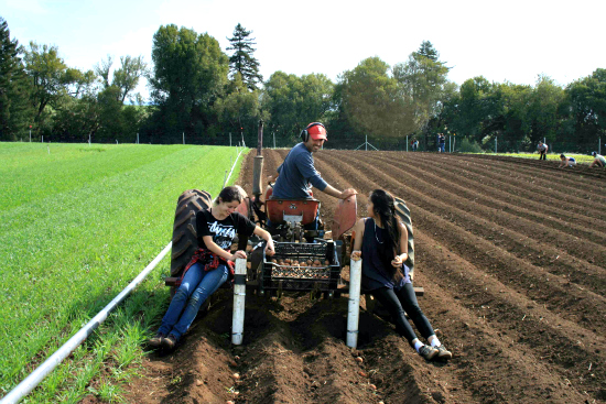 Internships support new concentration in agroecology and sustainable food systems