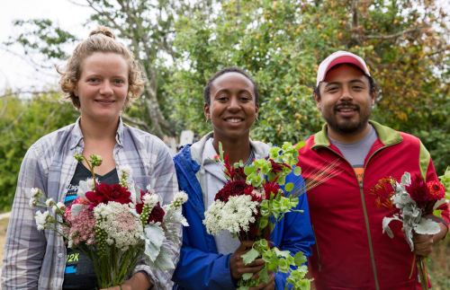 Organic farming and gardening training program accepts applications in 50th year