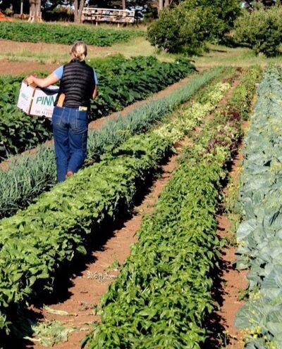 Community Supported Agriculture season is about to begin