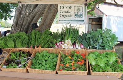 Farm & Garden’s Market Cart produce stand opens June 20