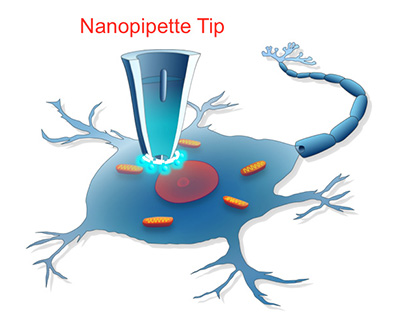 Nanopipette technology wins first place in NIH ‘Follow that Cell’ challenge