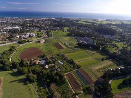 Growing farmers and the food movement for 50 years