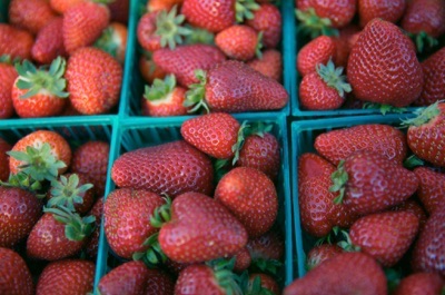USDA awards $2.5 million grant to UC Santa Cruz to expand organic strawberry research