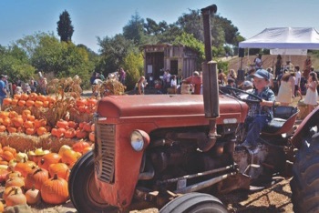 Join the fun at the Harvest Festival on Oct. 1
