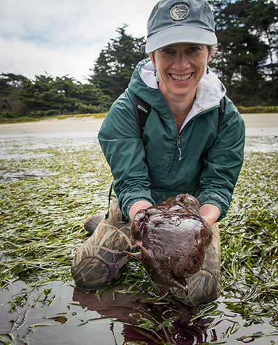 Elkhorn Slough scientist Kerstin Wasson honored as ‘wetland hero’