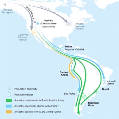 Ancient DNA evidence reveals genetic exchanges between the Americas