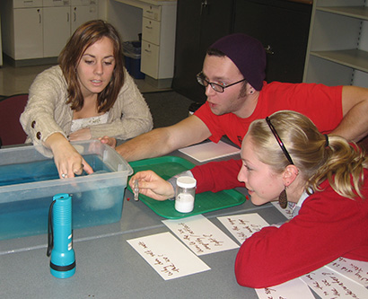 NSF grant supports training of math and science teachers at UC Santa Cruz