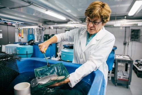 Sustainable aquaculture initiative lands $245,000 federal grant