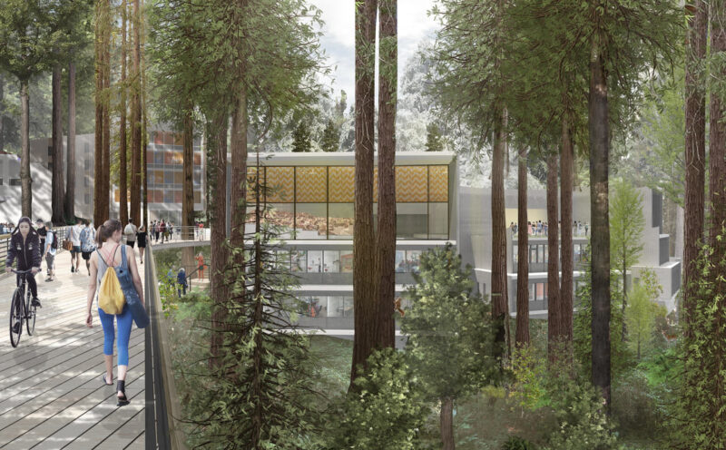 Kresge renewal project kicks off