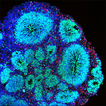 UCSC taking art/science LASER talk series downtown for special evening at Rio Theater