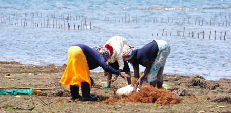 Aquaculture to benefit people and the environment
