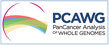 Unprecedented study yields most comprehensive map of cancer genomes to date