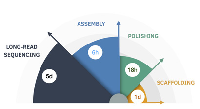 Eleven human genomes sequenced and assembled in nine days