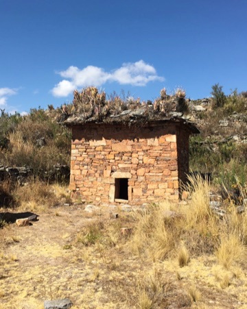 Team reveals genomic history of ancient civilizations in the Andes