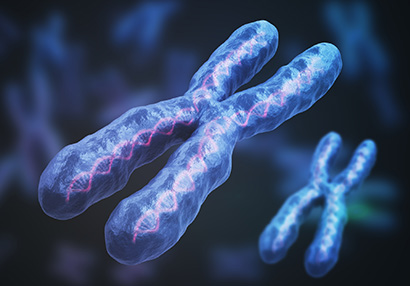 Scientists achieve first complete assembly of human X chromosome