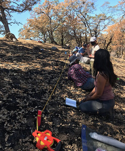 Wildfire brings destruction and opportunity to researcher’s field site