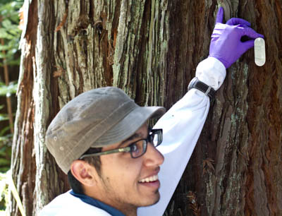 Forest monitoring efforts contribute to new understanding of climate change impacts