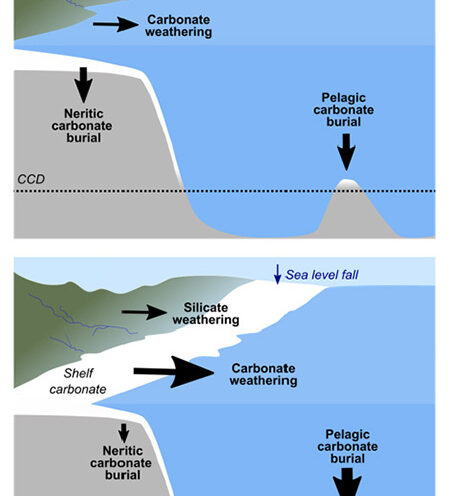 Changes in ocean chemistry show how sea level affects global carbon cycle