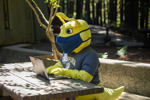 Enrollment opens for UCSC Summer Session Remote