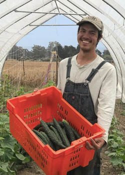 Growing heritage and healing through traditional Asian vegetables