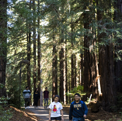 UC Santa Cruz admits fall class that reflects excellence, diversity