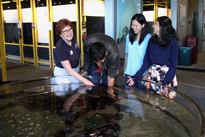 Seymour Marine Discovery Center will reopen in October
