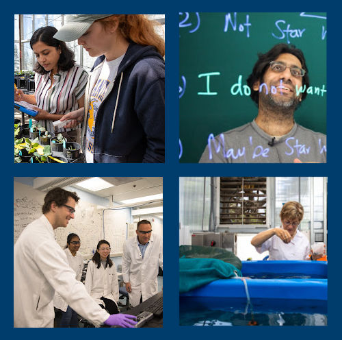 UC Santa Cruz announces ambitious investment to hire 100 additional faculty over decade, part of broader effort to advance student success and research excellence