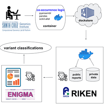 New responsible data sharing technique will enable better understanding of disease-causing genetic variants