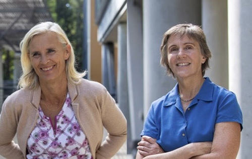 Institute for the Biology of Stem Cells awarded $1M training grant for postdoctoral researchers