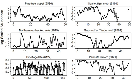 Study finds chaos is more common in ecological systems than previously thought