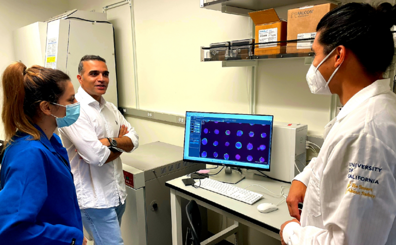 Biomolecular engineering professor awarded $1.9M grant to understand and engineer pluripotent stem cells