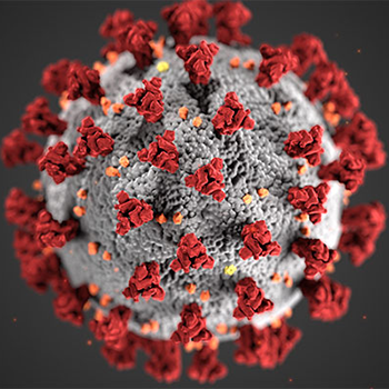 Illustration of SARS-COV-2 spike protien