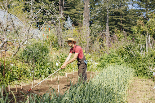 UC Santa Cruz earns Agricultural Experiment Station designation