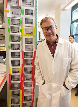 Naming system for transfer RNA fragments will increase research productivity, standardization